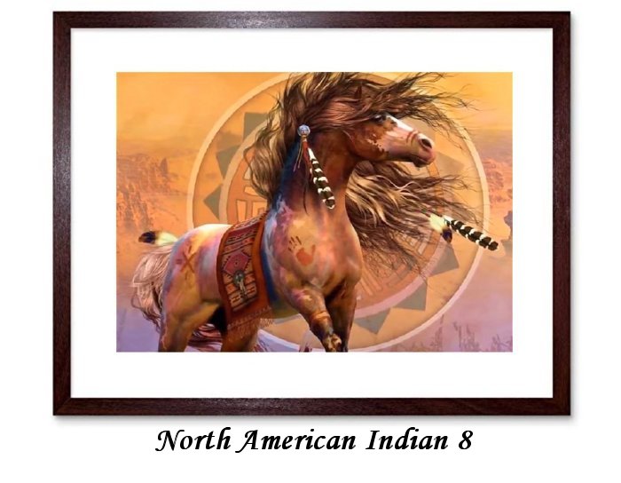 North American Indian Framed Prints